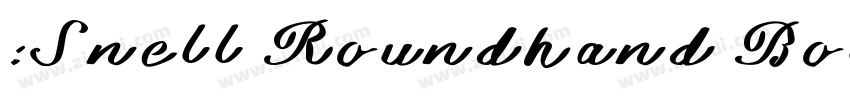 :Snell Roundhand Bol字体转换